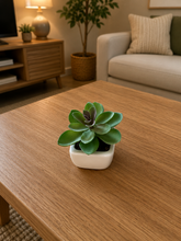 Load image into Gallery viewer, 6 PCs Artificial Potted Plants - (S340)