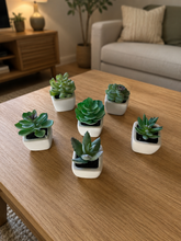 Load image into Gallery viewer, 6 PCs Artificial Potted Plants - (S340)