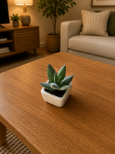 Load image into Gallery viewer, 6 PCs Artificial Potted Plants - (S340)