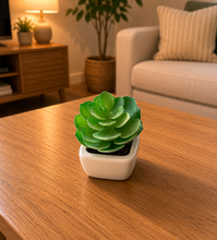 Load image into Gallery viewer, 6 PCs Artificial Potted Plants - (S340)