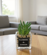 Load image into Gallery viewer, Artificial Potted Plants - (S234)
