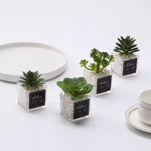 Load image into Gallery viewer, Artificial Potted Plants - (S234)
