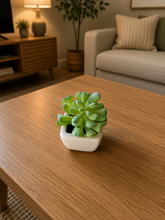 Load image into Gallery viewer, 6 PCs Artificial Potted Plants - (S340)
