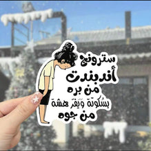 Load image into Gallery viewer, Funny Arabic Stickers - (S325)
