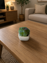 Load image into Gallery viewer, 6 PCs Artificial Potted Plants - (S340)
