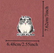 Load image into Gallery viewer, I'm Fine. It's Just My Face Sticker - (S320)
