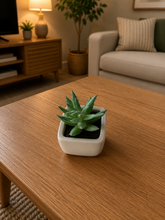 Load image into Gallery viewer, 6 PCs Artificial Potted Plants - (S340)
