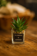 Load image into Gallery viewer, Artificial Potted Plants - (S234)
