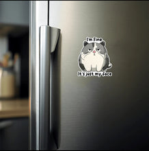 Load image into Gallery viewer, I'm Fine. It's Just My Face Sticker - (S320)
