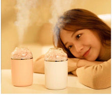 Load image into Gallery viewer, Preserved Fresh Flower Humidifier- (SA122)
